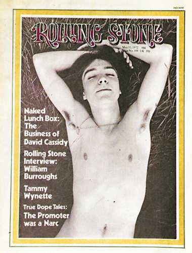 David Cassidy's infamous 'Rolling Stone' cover, photo by Annie Leibovitz.