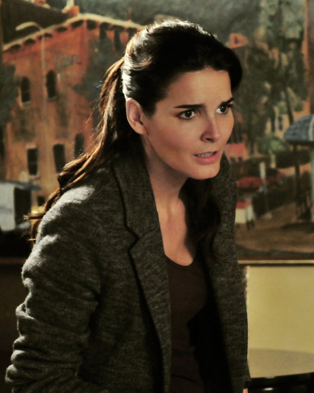 Angie Harmon stars in the TNT series 'Rizzoli and Isles' based on the popular mystery novels by Tess Gerritsen.